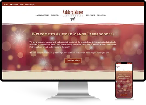 Ashford-Manor-Labradoodles.png